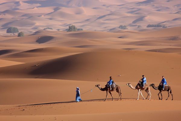 Lompoul Desert